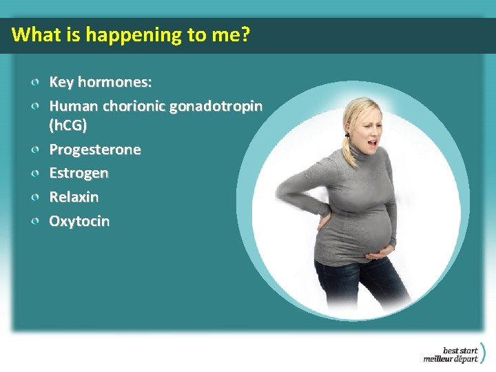 What is happening to me? Key hormones: Human chorionic gonadotropin (h. CG) Progesterone Estrogen