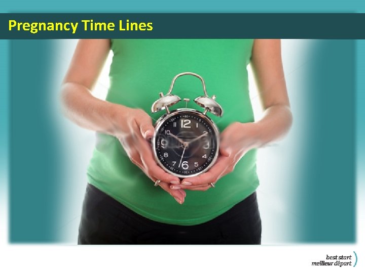 Pregnancy Time Lines 