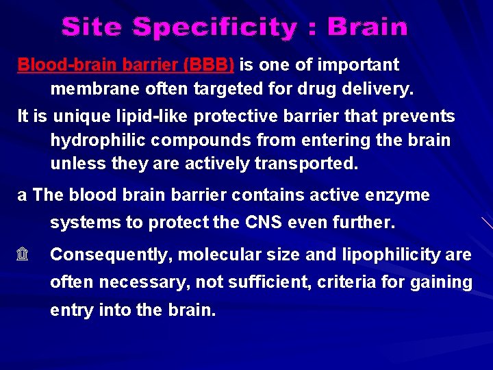 Blood-brain barrier (BBB) is one of important membrane often targeted for drug delivery. It