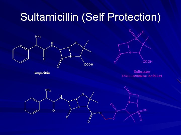 Sultamicillin (Self Protection) 