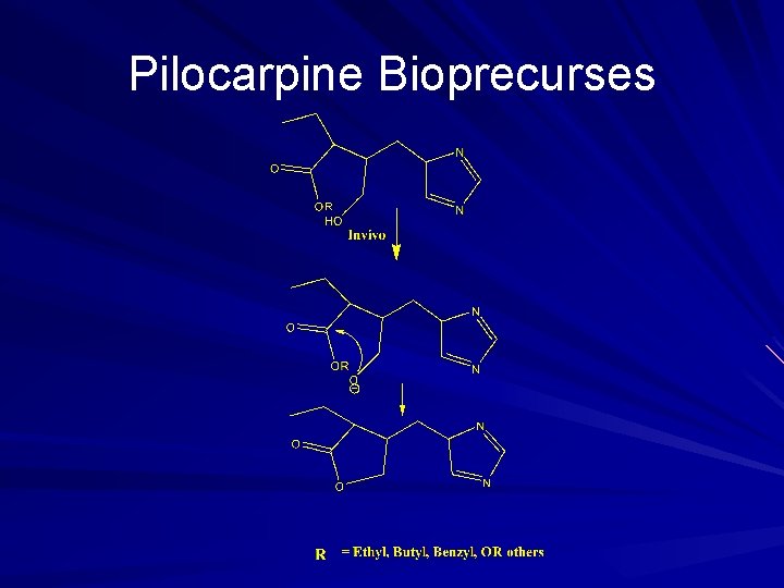 Pilocarpine Bioprecurses 