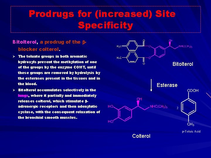 Prodrugs for (increased) Site Specificity Bitolterol, a prodrug of the blocker colterol. Ø The