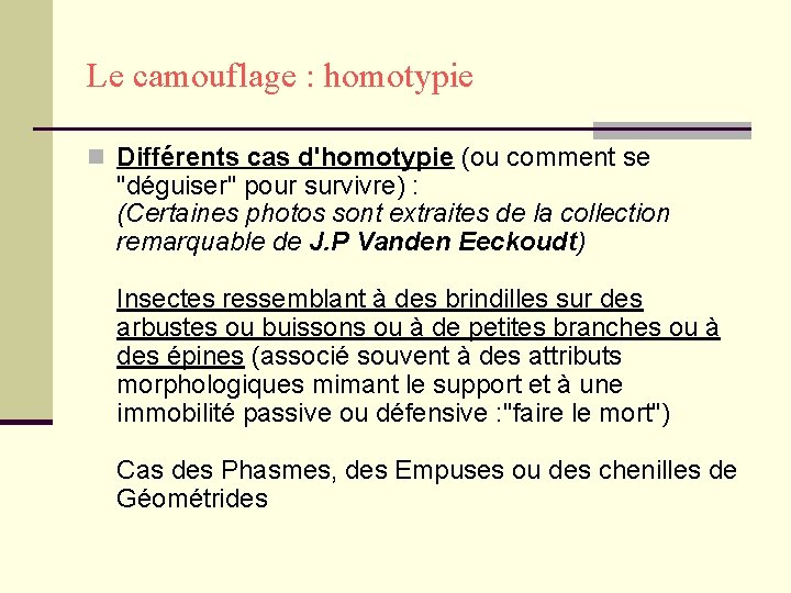 Le camouflage : homotypie n Différents cas d'homotypie (ou comment se "déguiser" pour survivre)