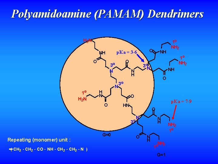 Polyamidoamine (PAMAM) Dendrimers H 2 N p. Ka = 3 -6 NH O N