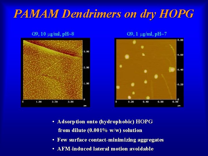 PAMAM Dendrimers on dry HOPG G 9, 10 mg/ml, p. H~8 G 9, 1