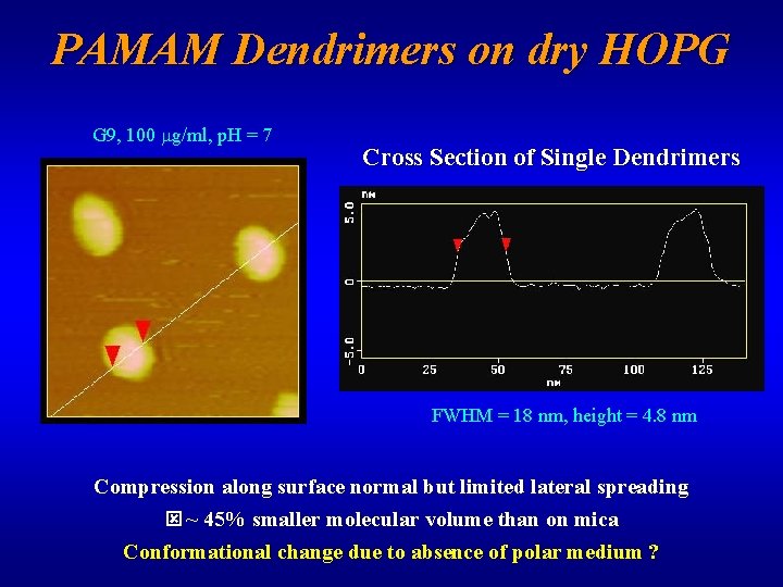 PAMAM Dendrimers on dry HOPG G 9, 100 mg/ml, p. H = 7 Cross