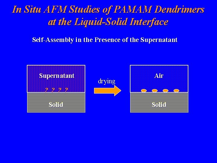 In Situ AFM Studies of PAMAM Dendrimers at the Liquid-Solid Interface Self-Assembly in the