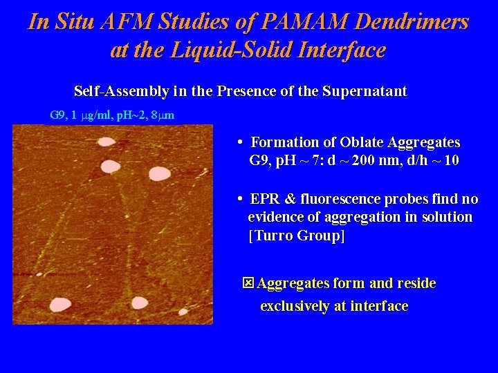 In Situ AFM Studies of PAMAM Dendrimers at the Liquid-Solid Interface Self-Assembly in the