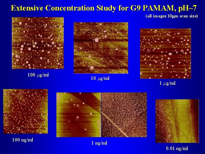 Extensive Concentration Study for G 9 PAMAM, p. H~7 (all images 10 mm scan