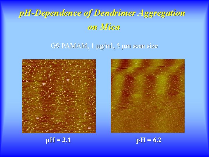 p. H-Dependence of Dendrimer Aggregation on Mica G 9 PAMAM, 1 mg/ml, 5 mm