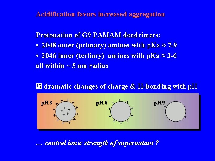 Acidification favors increased aggregation Protonation of G 9 PAMAM dendrimers: • 2048 outer (primary)