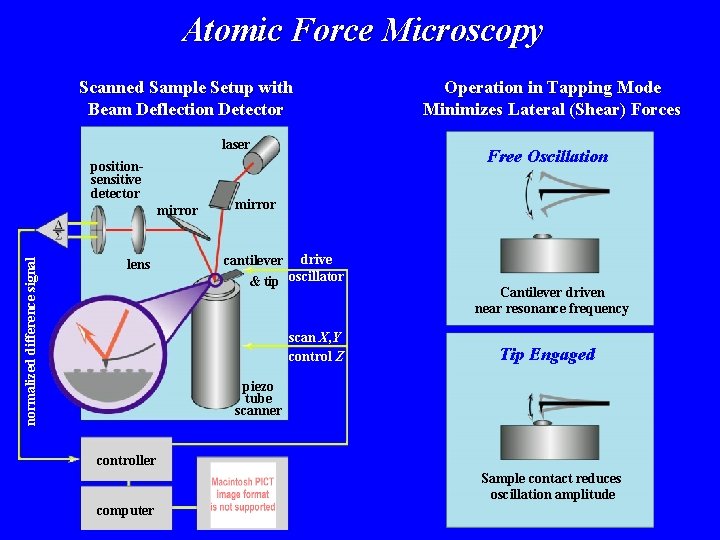 Atomic Force Microscopy Scanned Sample Setup with Beam Deflection Detector laser positionsensitive detector normalized