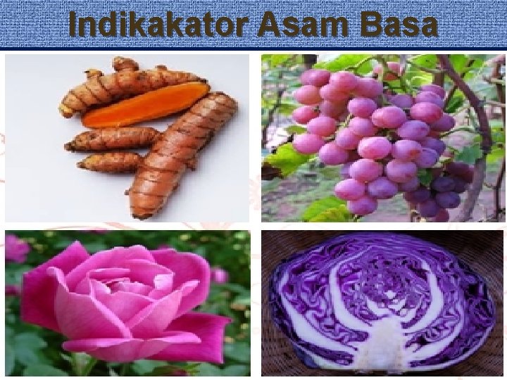 Indikakator Asam Basa 