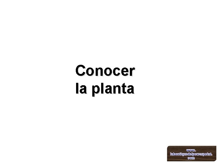 Conocer la planta 