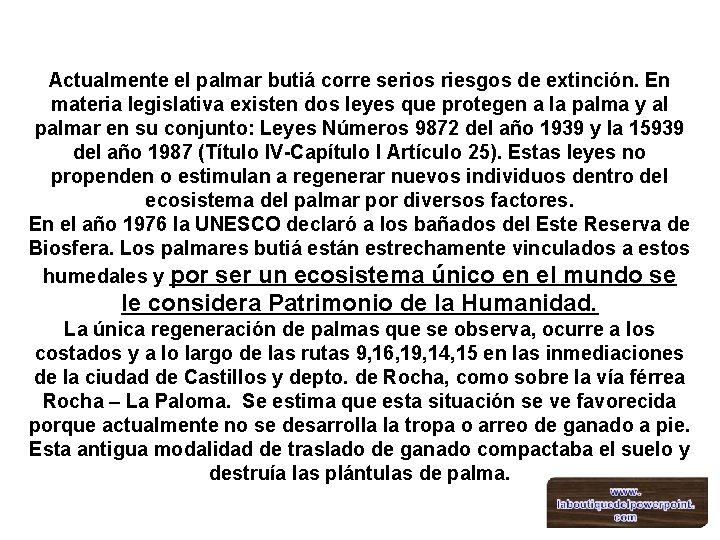 Actualmente el palmar butiá corre serios riesgos de extinción. En materia legislativa existen dos