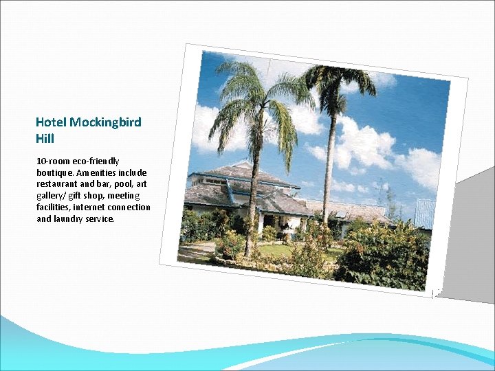 Hotel Mockingbird Hill 10 -room eco-friendly boutique. Amenities include restaurant and bar, pool, art