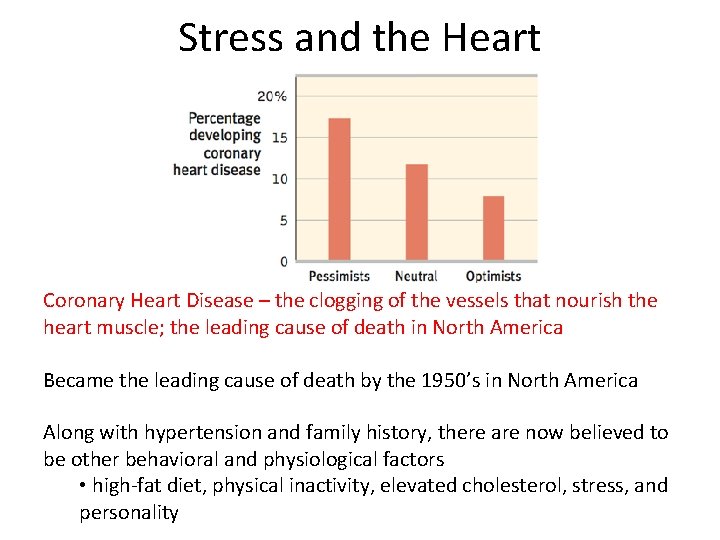 Stress and the Heart Coronary Heart Disease – the clogging of the vessels that