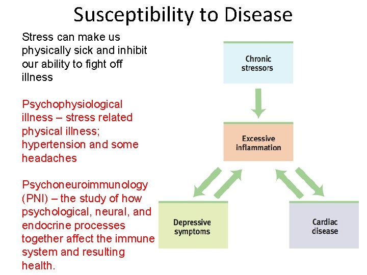 Susceptibility to Disease Stress can make us physically sick and inhibit our ability to