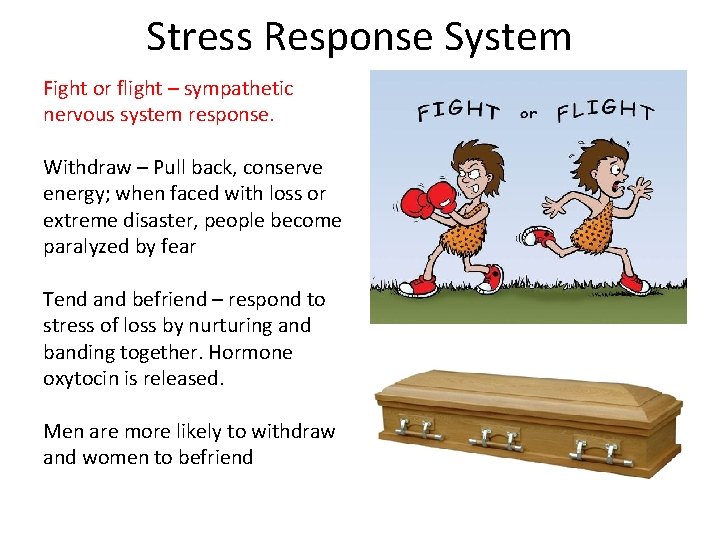 Stress Response System Fight or flight – sympathetic nervous system response. Withdraw – Pull