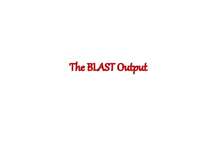 The BLAST Output 