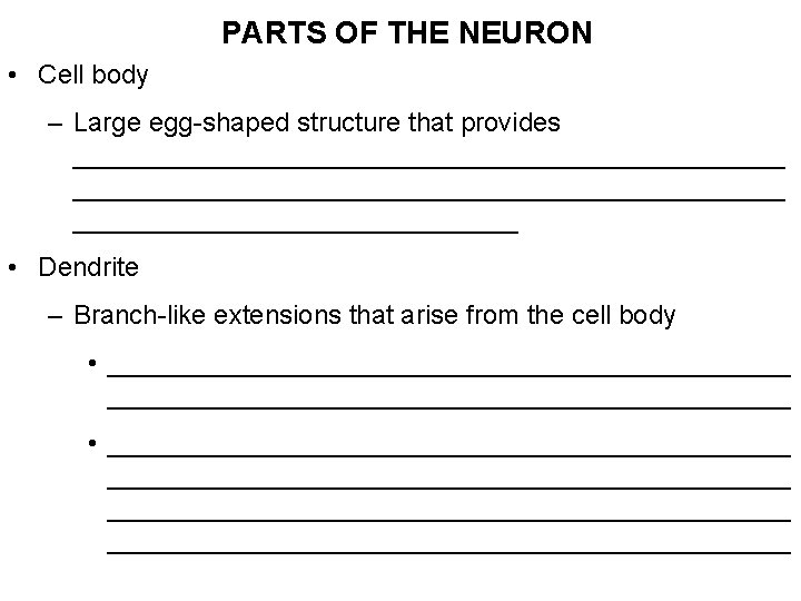 PARTS OF THE NEURON • Cell body – Large egg-shaped structure that provides ________________________________________________