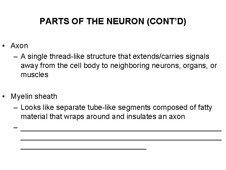 PARTS OF THE NEURON (CONT’D) • Axon – A single thread-like structure that extends/carries