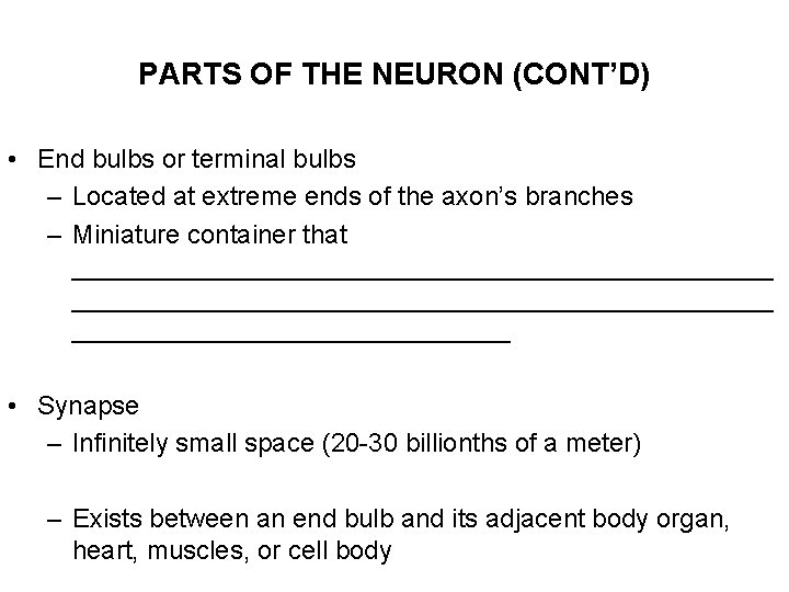 PARTS OF THE NEURON (CONT’D) • End bulbs or terminal bulbs – Located at