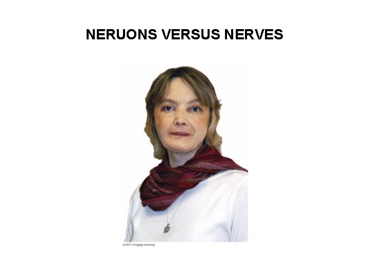 NERUONS VERSUS NERVES 