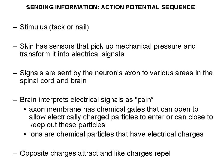 SENDING INFORMATION: ACTION POTENTIAL SEQUENCE – Stimulus (tack or nail) – Skin has sensors