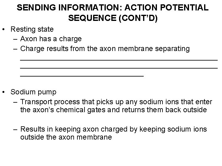 SENDING INFORMATION: ACTION POTENTIAL SEQUENCE (CONT’D) • Resting state – Axon has a charge