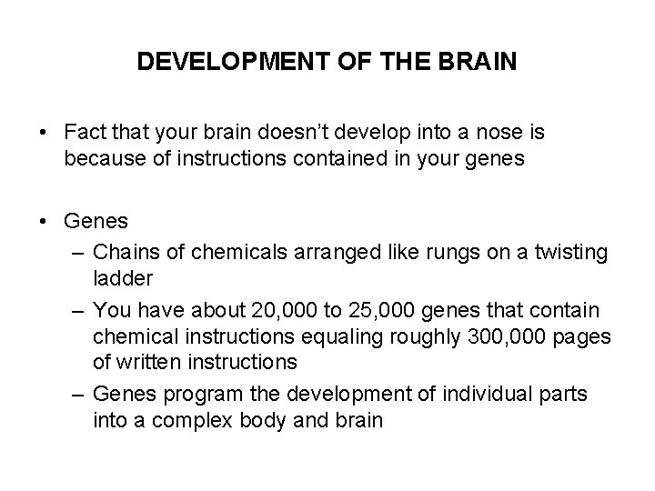 DEVELOPMENT OF THE BRAIN • Fact that your brain doesn’t develop into a nose