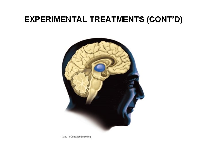 EXPERIMENTAL TREATMENTS (CONT’D) 