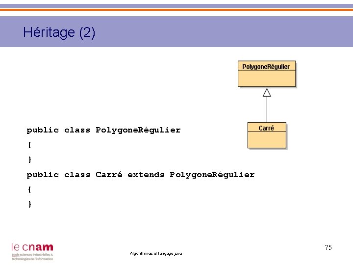 Héritage (2) public class Polygone. Régulier { } public class Carré extends Polygone. Régulier