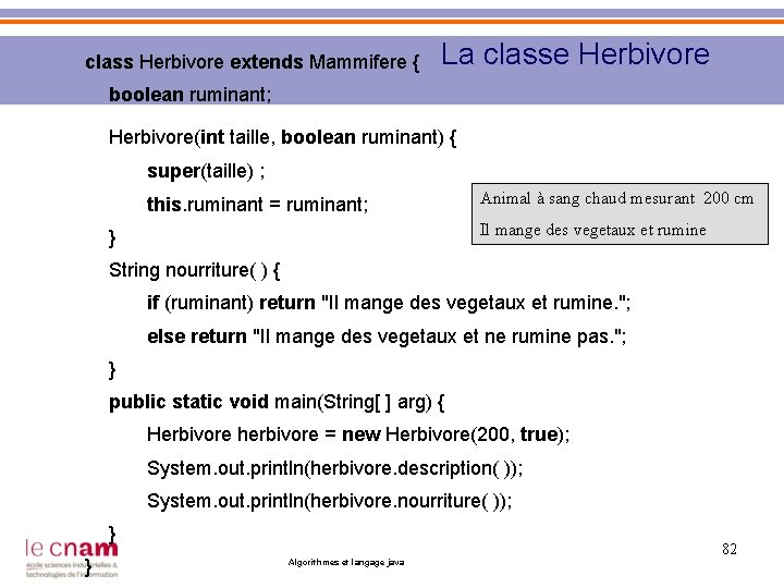 class Herbivore extends Mammifere { La classe Herbivore boolean ruminant; Herbivore(int taille, boolean ruminant)