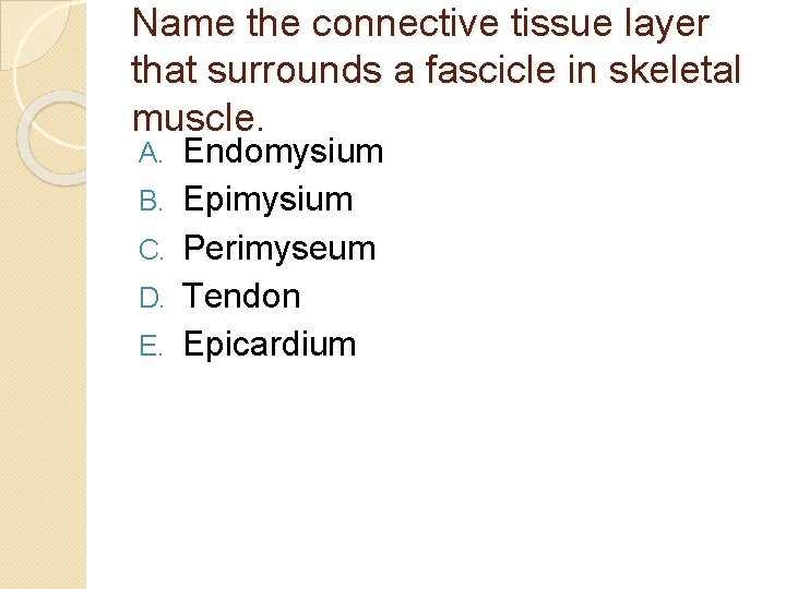 Name the connective tissue layer that surrounds a fascicle in skeletal muscle. A. B.