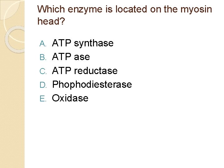 Which enzyme is located on the myosin head? A. B. C. D. E. ATP