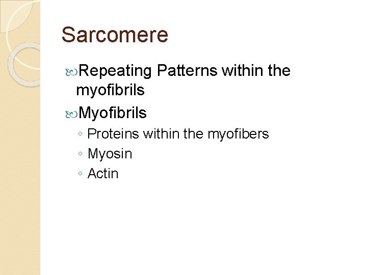 Sarcomere Repeating Patterns within the myofibrils Myofibrils ◦ Proteins within the myofibers ◦ Myosin