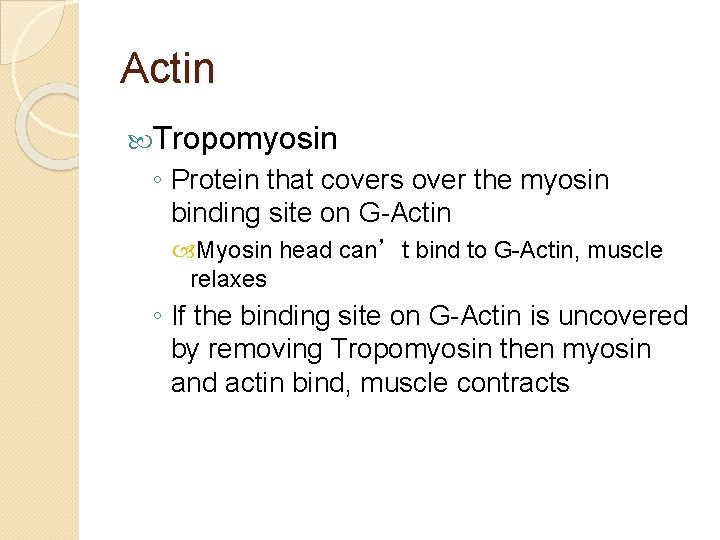 Actin Tropomyosin ◦ Protein that covers over the myosin binding site on G-Actin Myosin