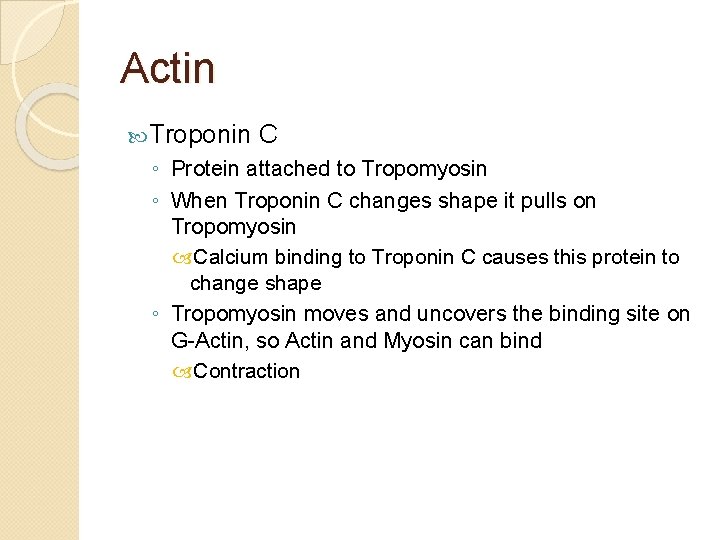 Actin Troponin C ◦ Protein attached to Tropomyosin ◦ When Troponin C changes shape