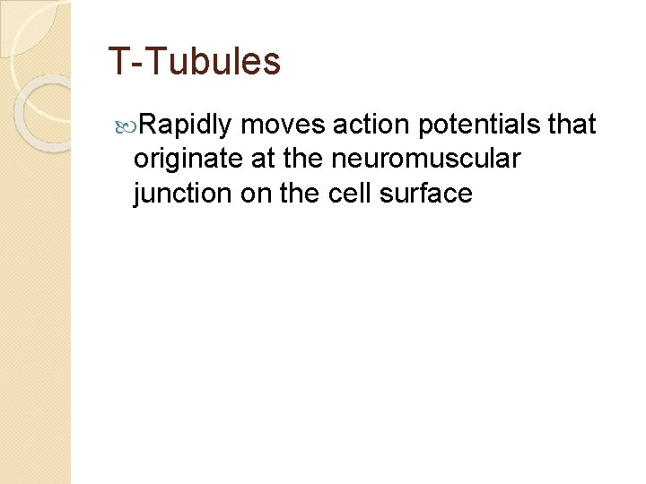 T-Tubules Rapidly moves action potentials that originate at the neuromuscular junction on the cell