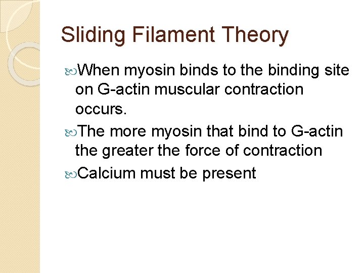 Sliding Filament Theory When myosin binds to the binding site on G-actin muscular contraction