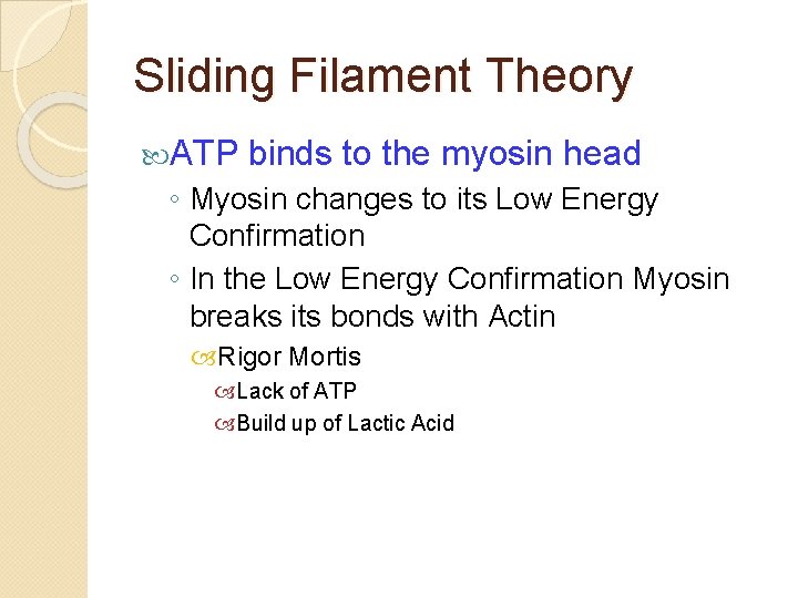 Sliding Filament Theory ATP binds to the myosin head ◦ Myosin changes to its