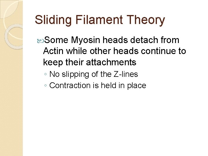 Sliding Filament Theory Some Myosin heads detach from Actin while other heads continue to