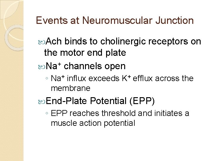 Events at Neuromuscular Junction Ach binds to cholinergic receptors on the motor end plate