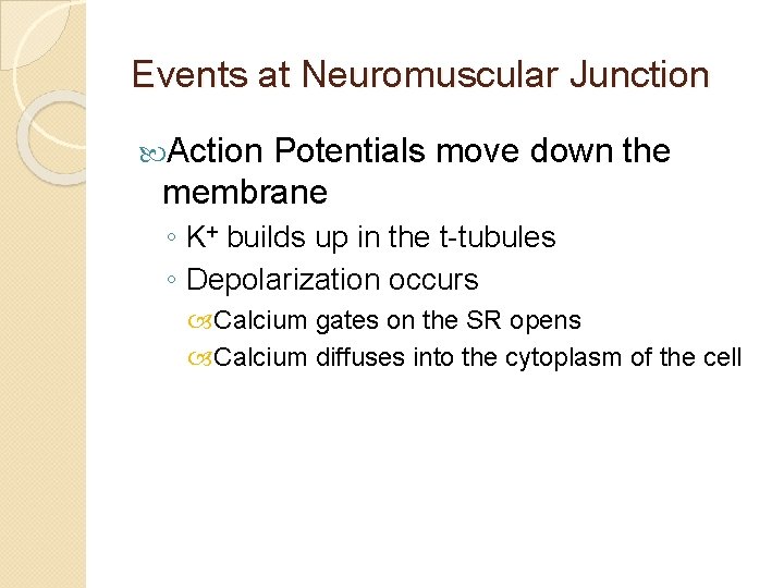 Events at Neuromuscular Junction Action Potentials move down the membrane ◦ K+ builds up