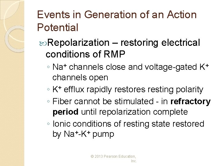 Events in Generation of an Action Potential Repolarization – restoring electrical conditions of RMP