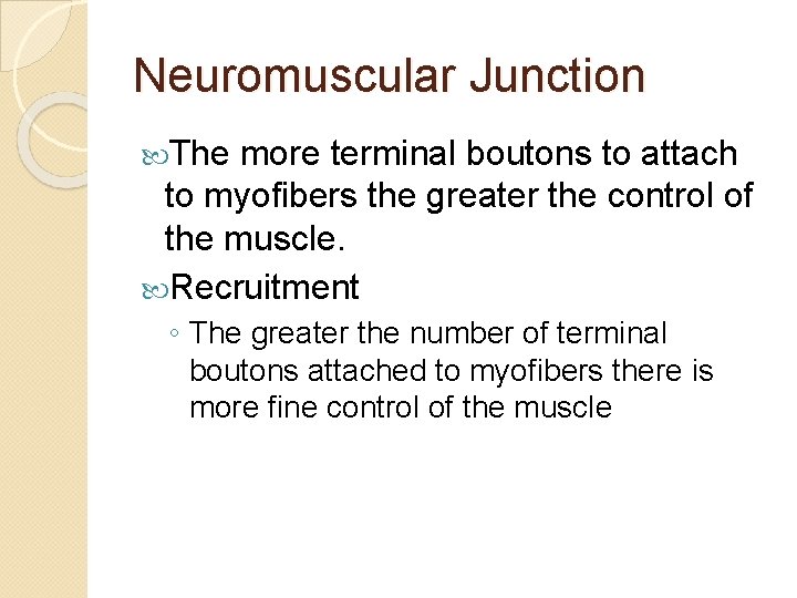 Neuromuscular Junction The more terminal boutons to attach to myofibers the greater the control