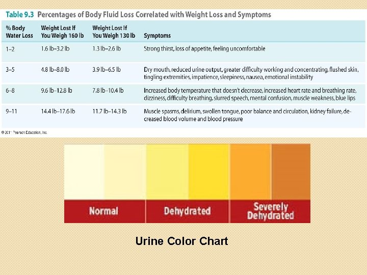 Urine Color Chart 