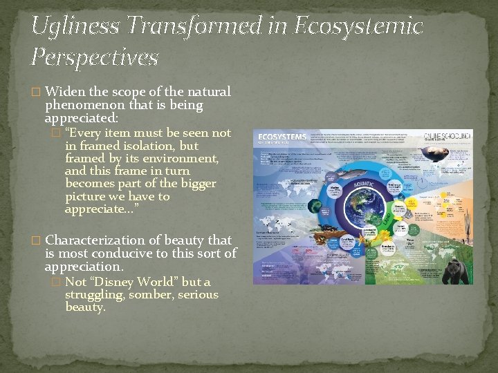 Ugliness Transformed in Ecosystemic Perspectives � Widen the scope of the natural phenomenon that