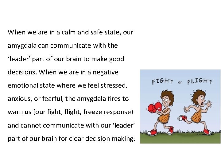 When we are in a calm and safe state, our amygdala can communicate with